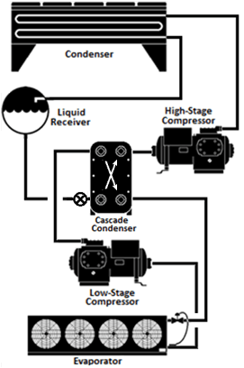 figure showing a cascade system